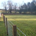 NEW-FENCE-LAWN-CATHLAW-7-1-20-005